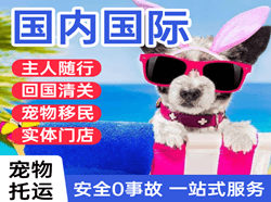 扎兰屯航空空运国际宠物托运 【国